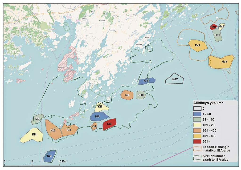 Selittävätkö vedenalaisen luonnon piirteet allien syyslevinneisyyttä? Kuva 1. Vesilintulaskenta-alueet Porkkalassa sekä vuonna 2011 havaitut allimäärät alueilla (Ellermaa & Lehikoinen 2011).