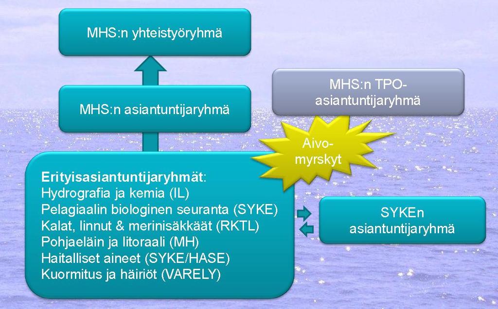 Toimenpideohjelman valmistelu osana merenhoitosuunnitelmaa Valtakunnallinen TPO-asiantuntijaryhmä ja sen sektorikohtaiset työryhmät (rehevöityminen, haitalliset aineet, ym.