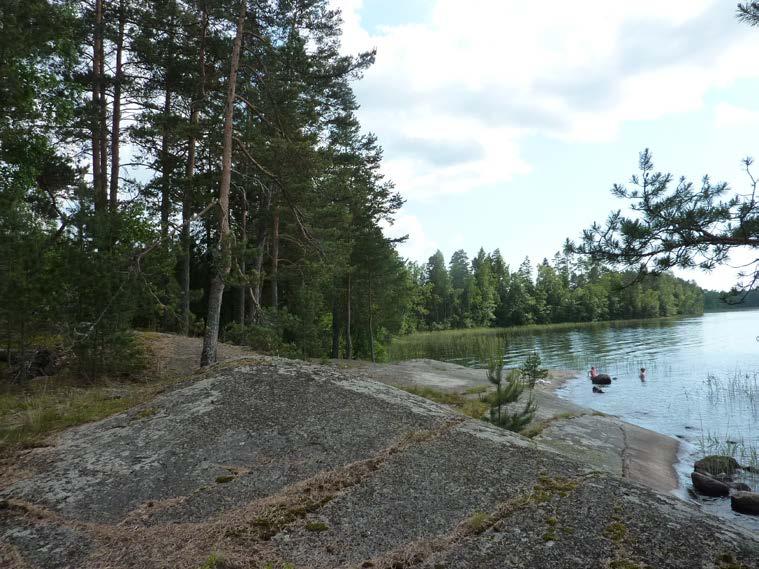 3. LÄHTÖKOHDAT 3.