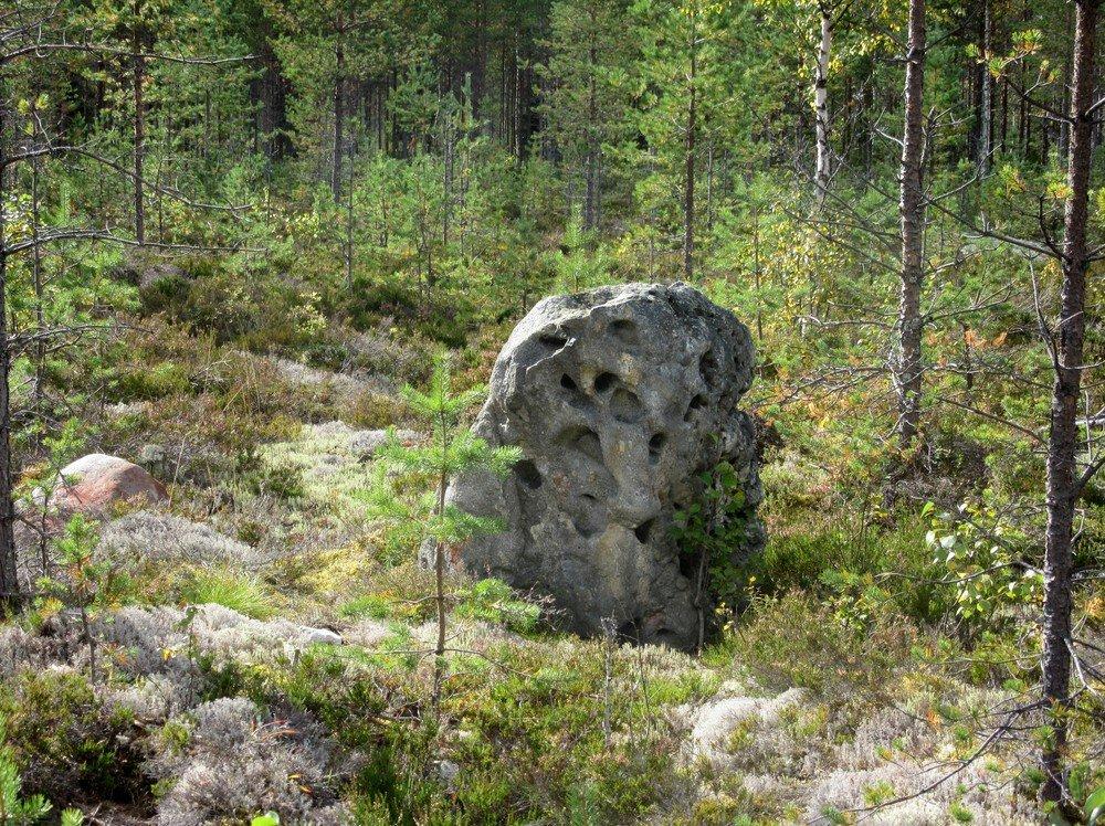 Hans-Peter Schulz ja Jaana Itäpalo 6.