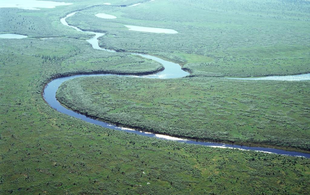 Taimyr