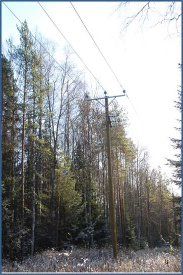 Tuuli- ja