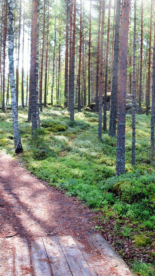 Tavoitteena on, että maakunnan elinkeinorakenne on maan monipuolisimpia ja maakunnan osuus Suomen viennistä kasvaa.