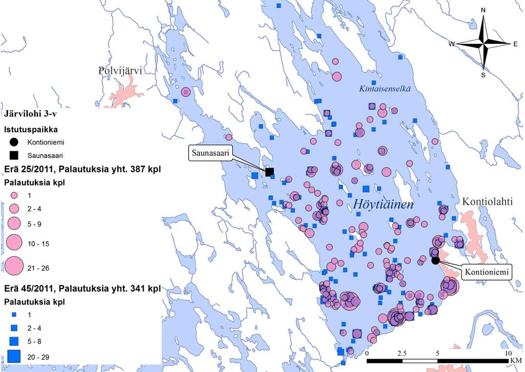 3-v järvilohi Höytiäisessä: