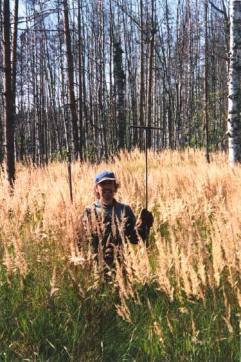 Kivijärven tutkimus- ja syvyyspisteet.