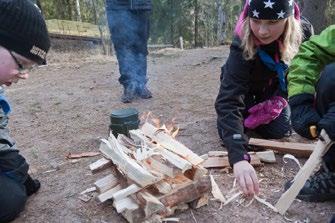 Hallitus 22.02.2015 7/15 TOIMINNASSA MUKANA OLEVAT AIKUISET Jäsenrekisterin mukaan johtajaikäisiä (aikuiset, vaeltajat, samoajat) on lippukunnassa paljon.