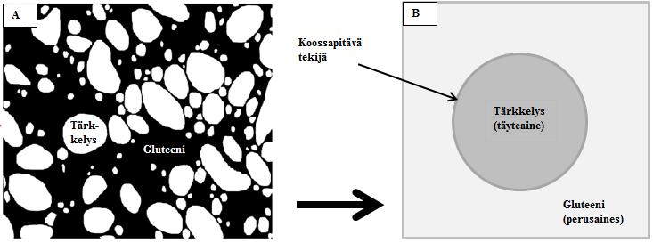 35 Kuva 13. Vehnätaikinan (A) kaavakuva ja taikinan rakenneosat (B). Gluteeni muodostaa taikinan perusaineksen ja tärkkelys taikinaa koossapitävän täyteaineen (Mohammed ym. 2013).