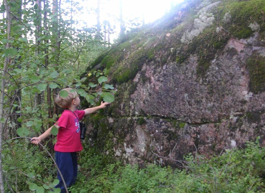 Lasten suunnistuksen ja kilpailemisen maailma Metsä on