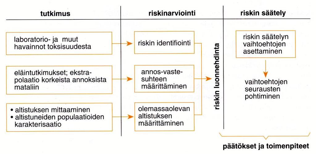 annoksiin Altistuksen kesto Toksisuuden mekanismi Lajierot, erityisryhmät Riskin ekstrapolaatio pieniin annoksiin