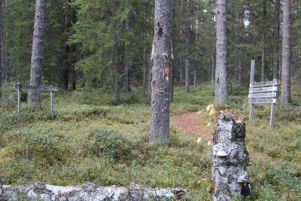 Viitat näyttävät eteenpäin UKK-reittiä, Murtovaara 10 ja Talonpojan taivalta sekä Palolampi