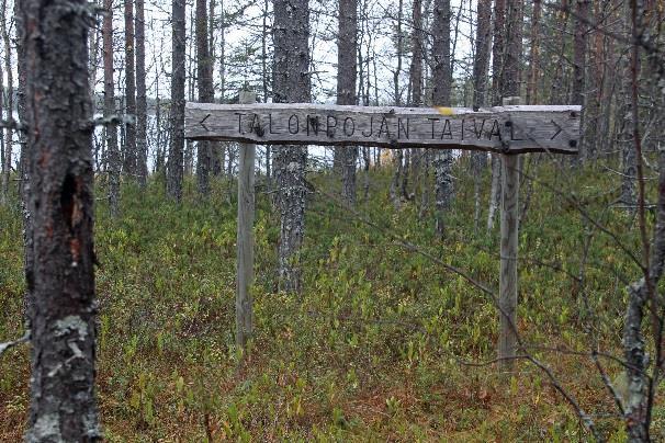 hakkuuaukon reunalla pieni Hiidenportti -viitta.
