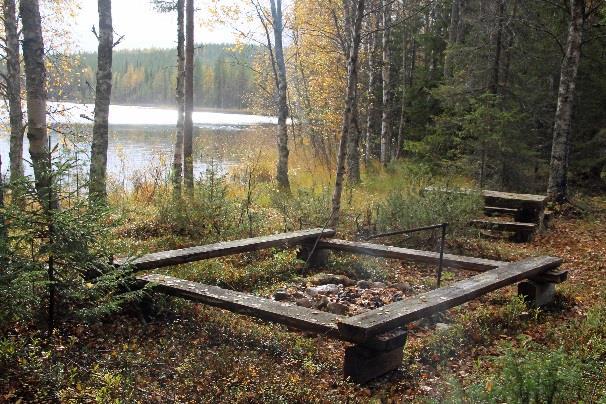 tarkkaa puuhaa.