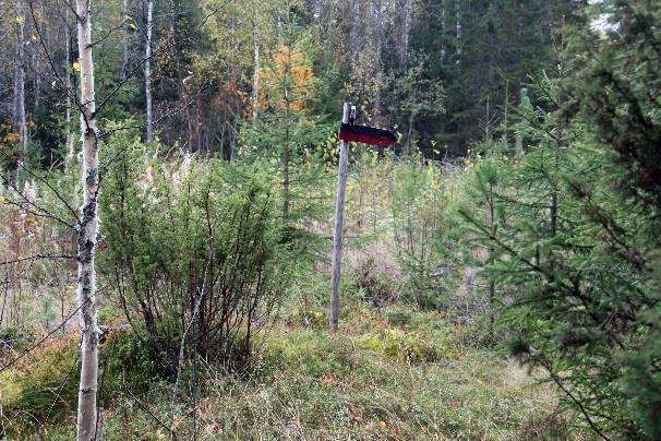 Kanasenvaaran laella on polun suorakulmaisen mutkan kohdalla punamusta