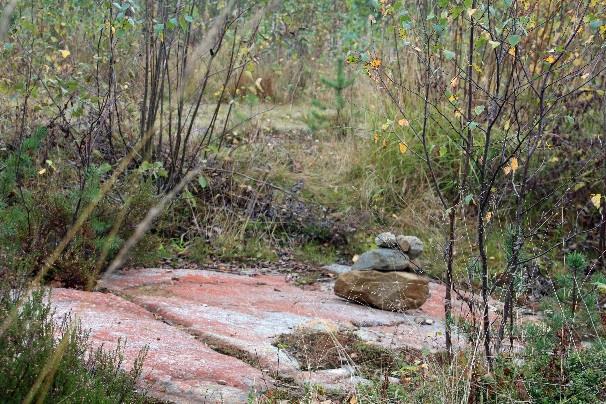 Vaaran toisella puolen polku tulee huomaamattomasti metsäautotielle,