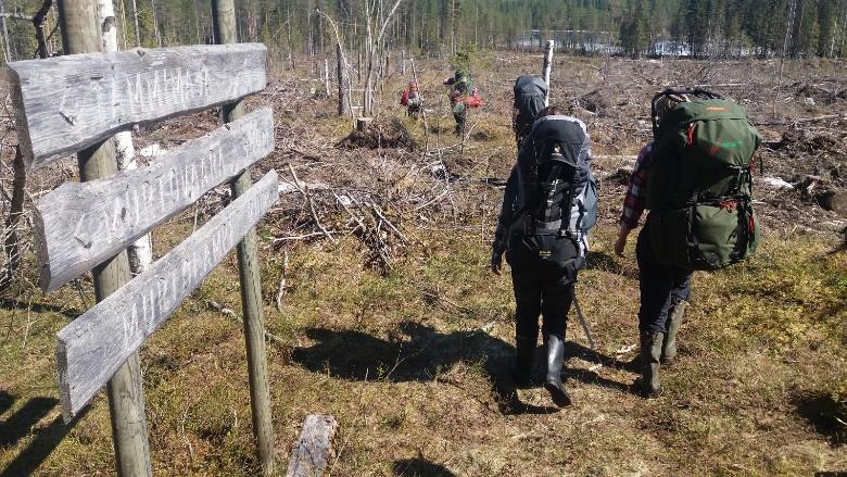 Ala- ja ylämäkien jälkeen T-risteyksestä polku jatkuu suoraan pitkin