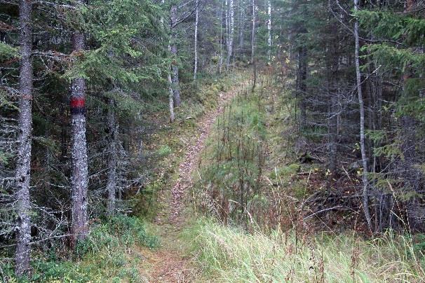 jälkeen tullaan uudestaan tielle Y-risteyksessä, josta reitti jatkuu