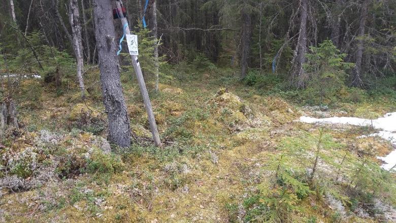 Tulee kohta T-risteykseen, josta jatkaa suoraan yli.