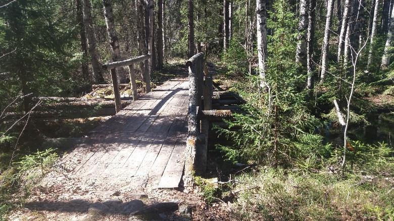 Sitä ennen oikealle osoittaa viitta kohti Murtojärven laavua, jonne pääsee myös