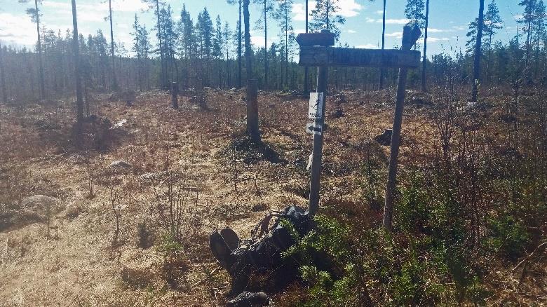 POLKU JATKUU Pitkospuilta tullaan metsäautotielle, jossa on pelkät polkujuoksun merkit ohjaavat kääntymään oikealle. Risteyksessä on Valtimon ammattiopiston eräpolun loukkuja.