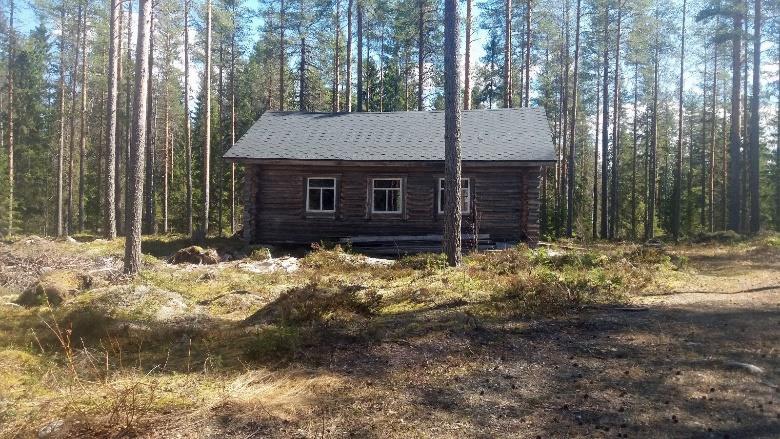 Risteyksessä 400m päässä on viitat Kolinlammelle ja Salmivaaraan sekä polkujuoksun merkkejä, käännös vasemmalle. Edessä metsikön takana näkyy Koivujärvi.