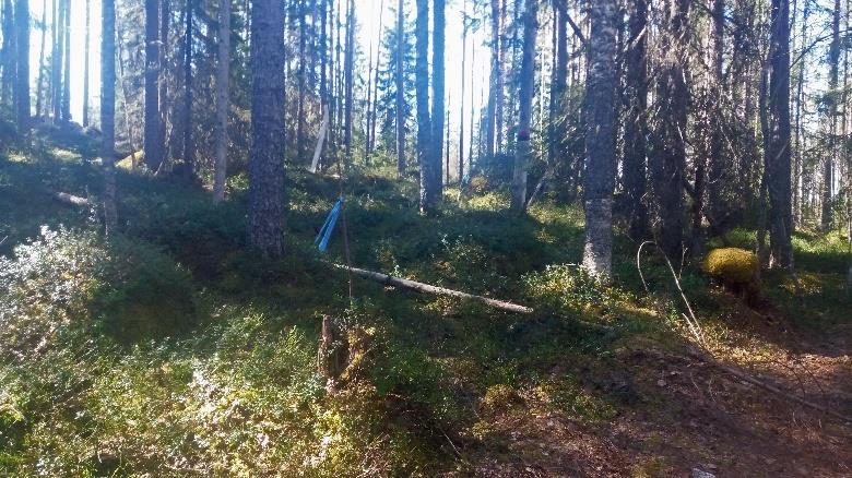 suoraviivaisesti, jatkuu polkuna.
