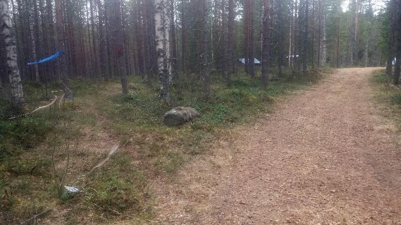 Reitti poikkeaa tieltä 321-viitan kohdalla pienen sorastetun levennyksen kohdalla,