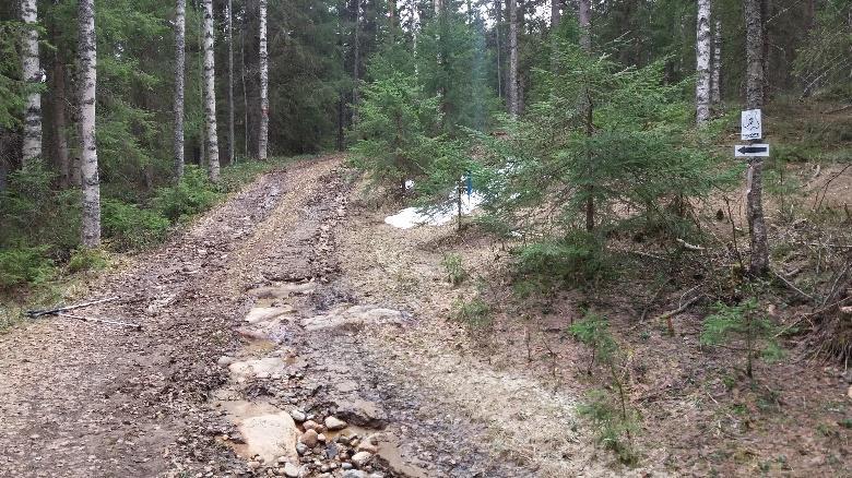 viitoittamattomana, mutta puihin hyvin merkittynä ensin kärrytielle vasemmalle ja