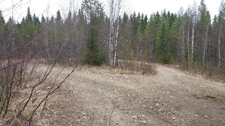 Metsäautotien silmukan tyvessä ylitetään tie suoraviivaisesti.