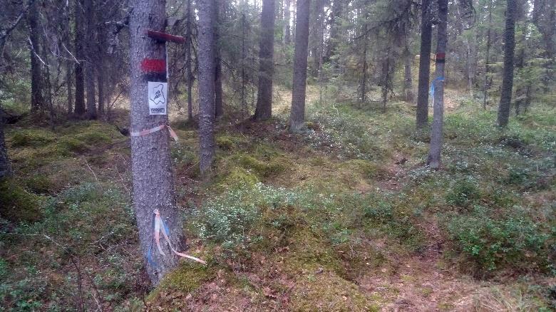 polkujen Y-risteyksessä suunta vasemmalle.