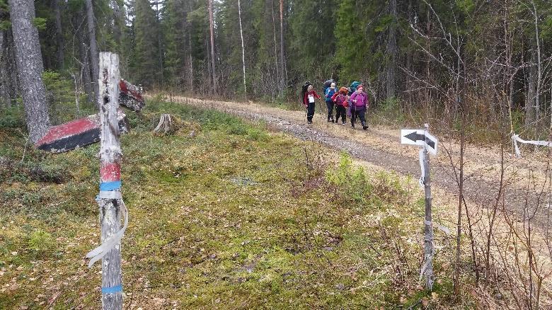 Metsäautotieltä poiketaan hieman ennen sen loppumista vasemmalle kohti Kiuruvaaran