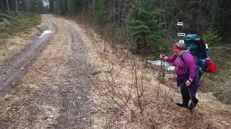Vaaralta laskeuduttaessa poiketaan lyhyt pätkä metsäautotietä vasemmalle, jatko