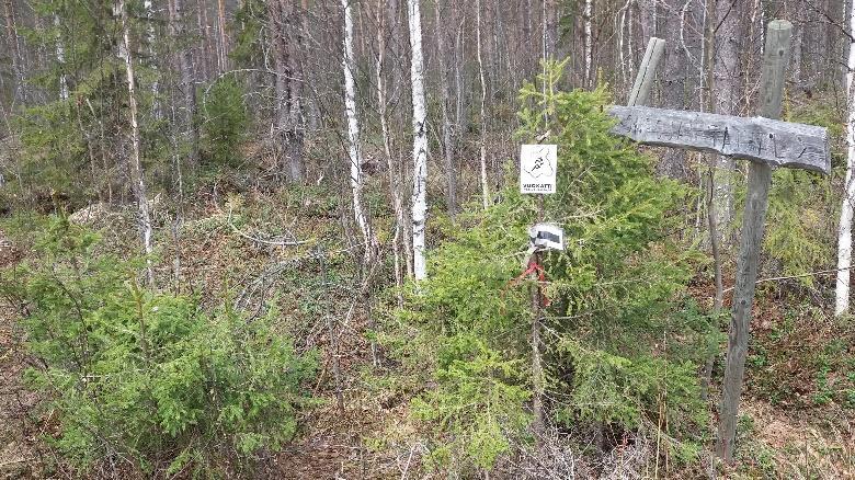Reitti kulkee heinikkoituneena puroa seuraillen, kääntyy vasemmalle, ylittää sillan ja