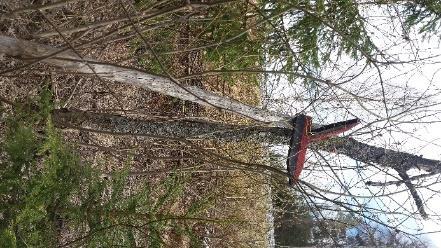 harvakseltaan haalistuneilla kuituliinoilla