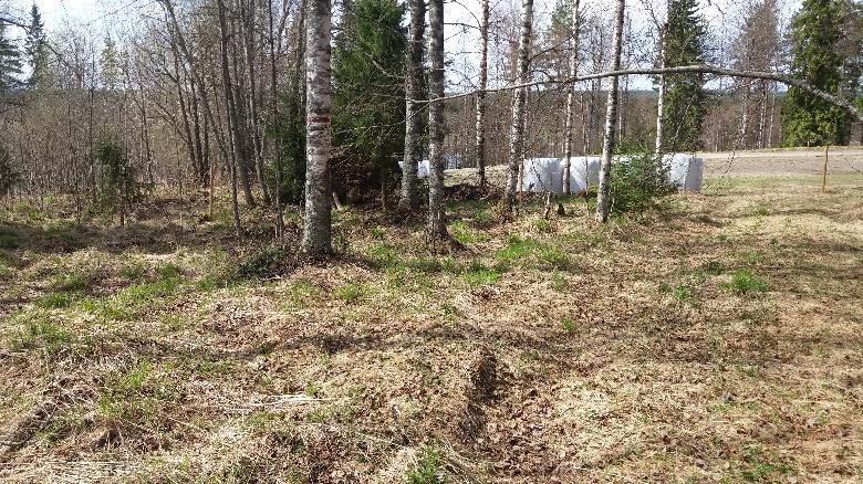 -viitalta jatketaan 30m alamäkeen ruohottuneelle