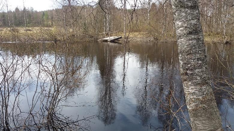 Kuutostien vastakkaisella puolella on Puukarin pysäkki