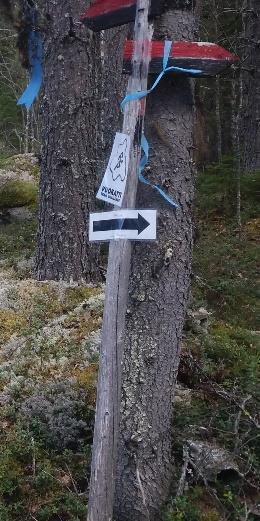 REITTI Reitistö Mujejärveltä Puukariin on 54km:n useiden reittien kokonaisuus, joka kulkee Pohjois-Karjalan pohjoisimmilla saloilla pistäytyen Kainuussa Hiidenportin kansallispuistossa.