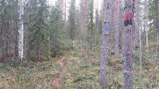 Hiidenportin kansallispuisto erityinen luontokohde, varsinainen Hiidenportti jää vain 2km piston päähän pitkästä reitistä ja on ehdottomasti käynnin arvoinen.