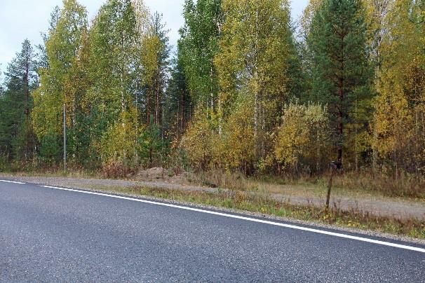 MUJEJÄRVI PUUKARI pohjoiseen 900m päässä