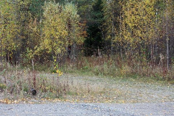 taakse, Saramon jotos lähtee risteyksestä