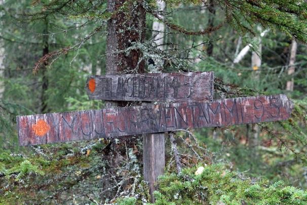 vyöllä.