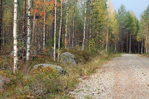 ja täplä.