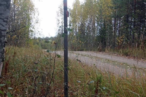 Polku on paljon kuljettu Talasjärvellä on