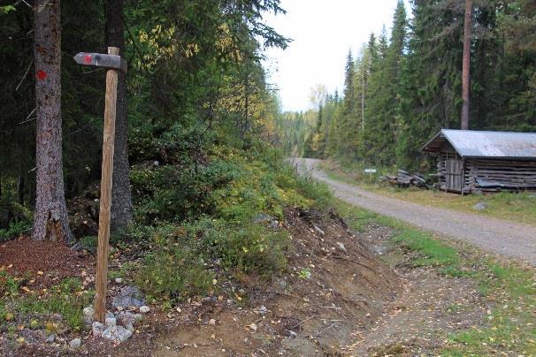 tulipaikan viitat.