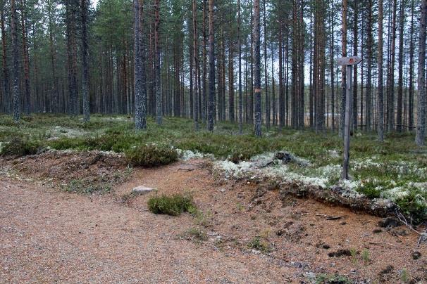luontoon.fi/retkikohteet/muutalueet/peurajarvi/sivut/default.