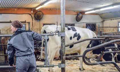 uutispalat Hoitoparsi 68 eurolla kuukaudessa Tarvitsetko lukkoaitoja, portteja tai hoitoparsia? Nämä kaikkia saat Fabalta nyt myös edullisella leasingilla.