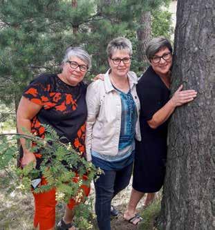 tervetuloa Tuottajien lempilapsi FABAHELMI-HEDELMÄLLISYYSNEUVONTAPALVELU on osoittautunut maidontuottajien lempilapseksi.