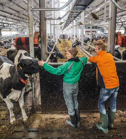 arjen auttaja Asiakasbonuskausi on alkanut Faban jäsenille kertyy asiakasbonusta 0,5-5 % tilan ostoista.