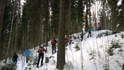 POIMINTOJA ALKUVUODESTA