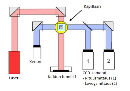24 Kuva 11 Kajaani FiberLab kuvausmenetelmä. (Anon., 2006) Freeness Massojen suotautuvuuden eroavaisuuksien määrittämiseen käytettiin standardisoitua freeness -testauslaitteistoa.