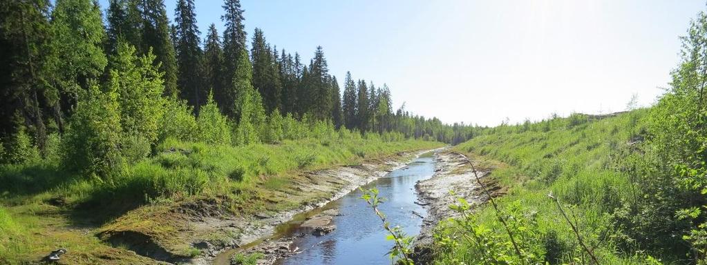 yhtä suureksi hankevaihtoehdoissa VE1 ja VE2, mutta kuormitus jatkuu VE1:ssä 10 vuotta ja VE2:ssa 20 vuotta.